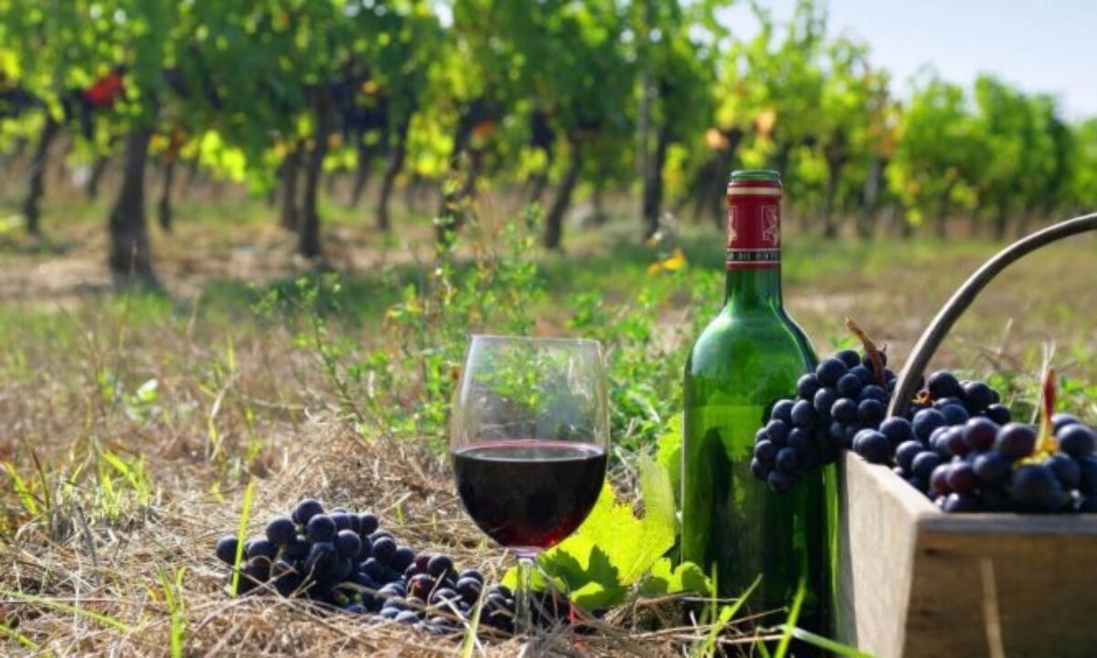 Baku Wine