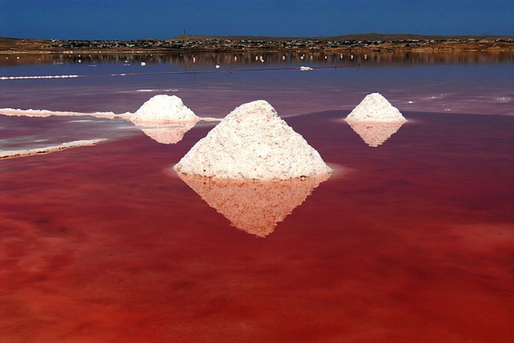 Pink Lake